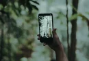 Seseorang memotret suasana hutan menggunakan kamera HP