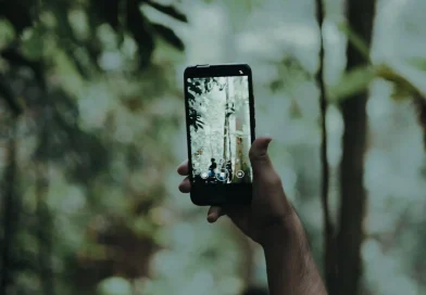 Seseorang memotret suasana hutan menggunakan kamera HP